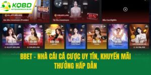 Bbet - Nhà Cái Cá Cược Uy Tín, Khuyến Mãi Thưởng Hấp Dẫn